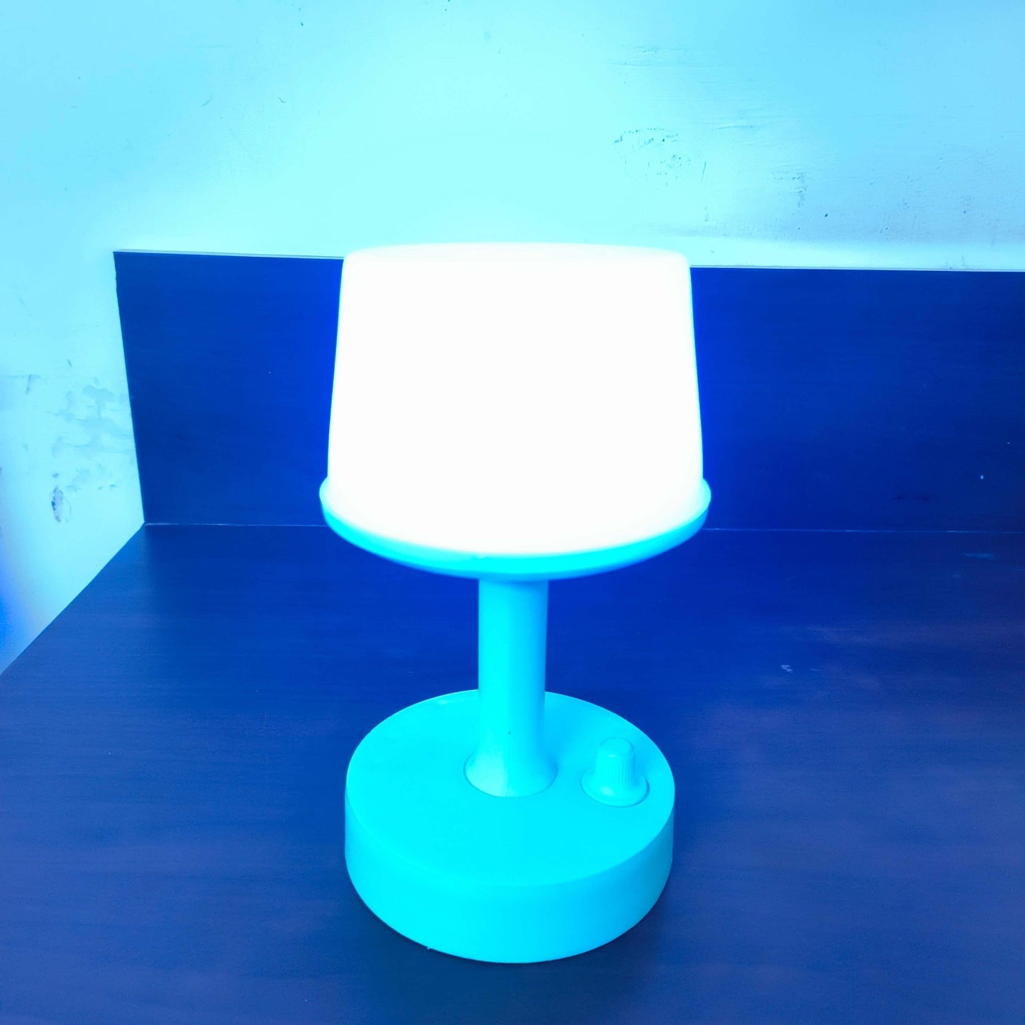 Wellberg 4 Color Changing Table Lamps Reading Lamp White and RGB Rechargeable Led - WELLBERG