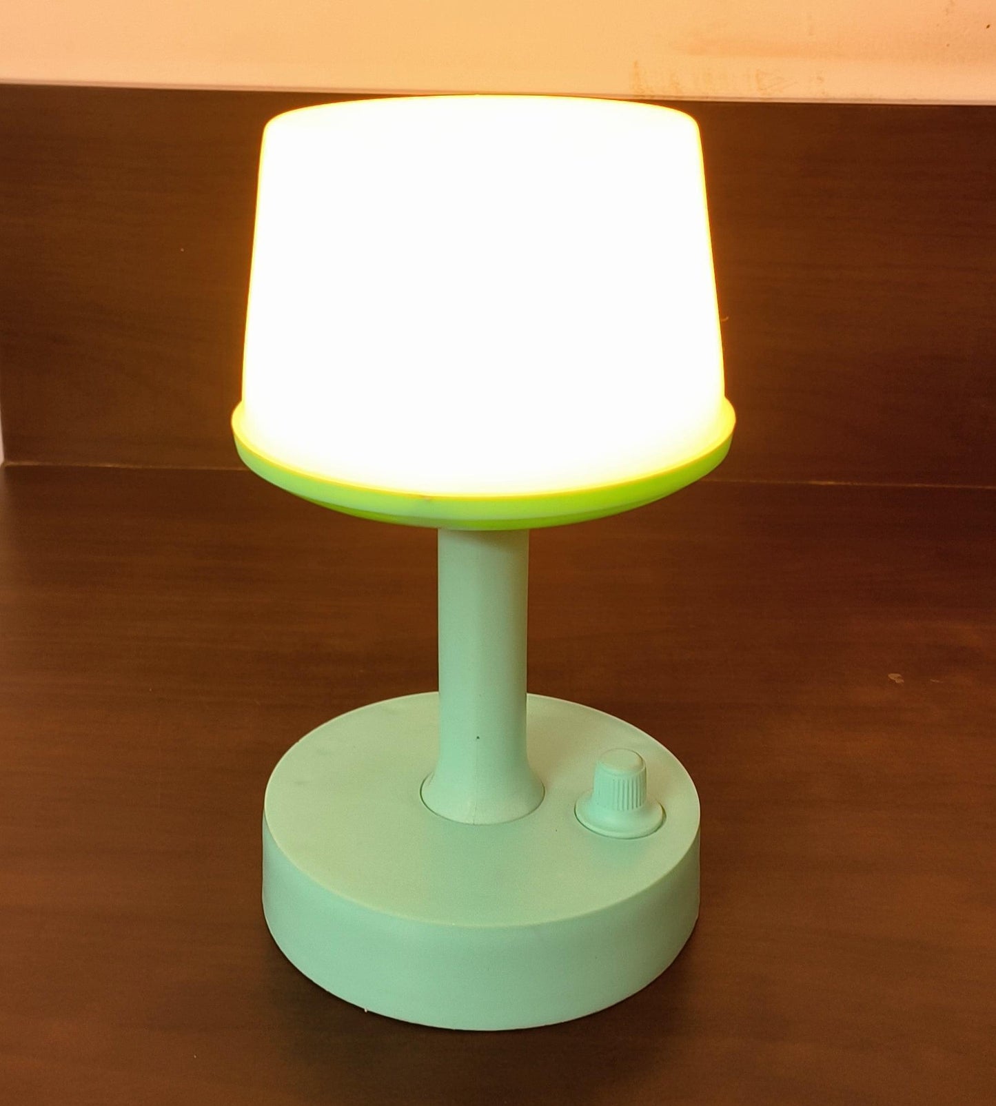 Wellberg 4 Color Changing Table Lamps Reading Lamp White and RGB Rechargeable Led - WELLBERG